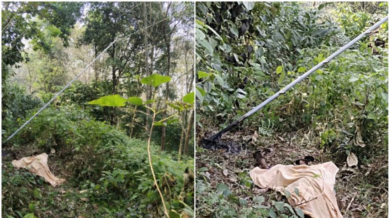 ഇരുമ്പ് ഏണി ചാരി കുരുമുളക് പറിച്ചു; ഷോക്കേറ്റ് ഭാര്യയ്ക്ക് ദാരുണാന്ത്യം; ഭർത്താവിനു ഗുരുതര പരിക്ക് ഇരുമ്പ് ഏണി ചാരി കുരുമുളക് പറിച്ചു; ഷോക്കേറ്റ് ഭാര്യയ്ക്ക് ദാരുണാന്ത്യം; ഭർത്താവിനു ഗുരുതര പരിക്ക്