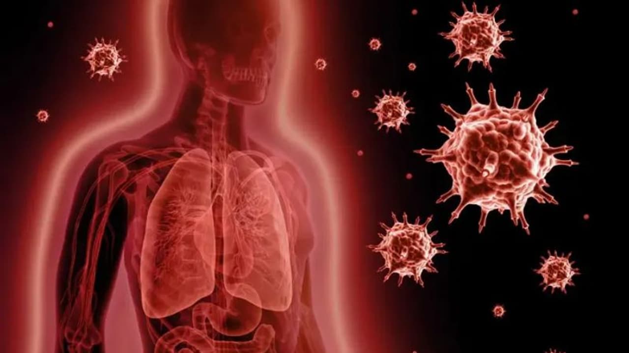 രോഗ പ്രതിരോധശേഷി കൂട്ടാന് സഹായിക്കും അടുക്കളയില് സ്ഥിരമുള്ള ഈ ഭക്ഷണങ്ങള്... രോഗ പ്രതിരോധശേഷി കൂട്ടാന് സഹായിക്കും അടുക്കളയില് സ്ഥിരമുള്ള ഈ ഭക്ഷണങ്ങള്...