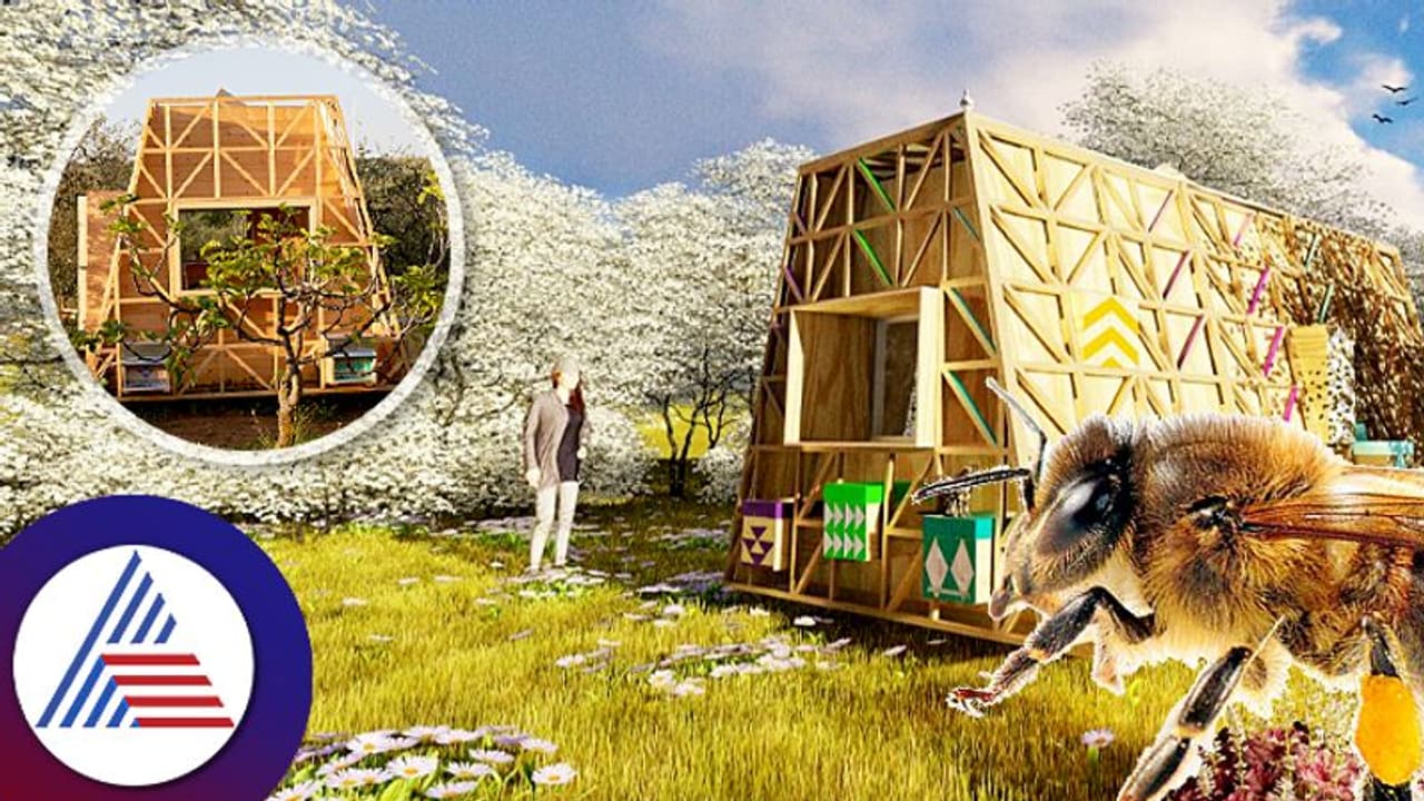 ಹಣ ನೀಡಿ ಸಾಹಸಕ್ಕೆ ಕೈ ಹಾಕಿ! ಜೇನುನೊಣಗಳ ಜೊತೆ ರಾತ್ರಿ ಕಳೆಯೋ ಆಫರ್ ಹಣ ನೀಡಿ ಸಾಹಸಕ್ಕೆ ಕೈ ಹಾಕಿ! ಜೇನುನೊಣಗಳ ಜೊತೆ ರಾತ್ರಿ ಕಳೆಯೋ ಆಫರ್