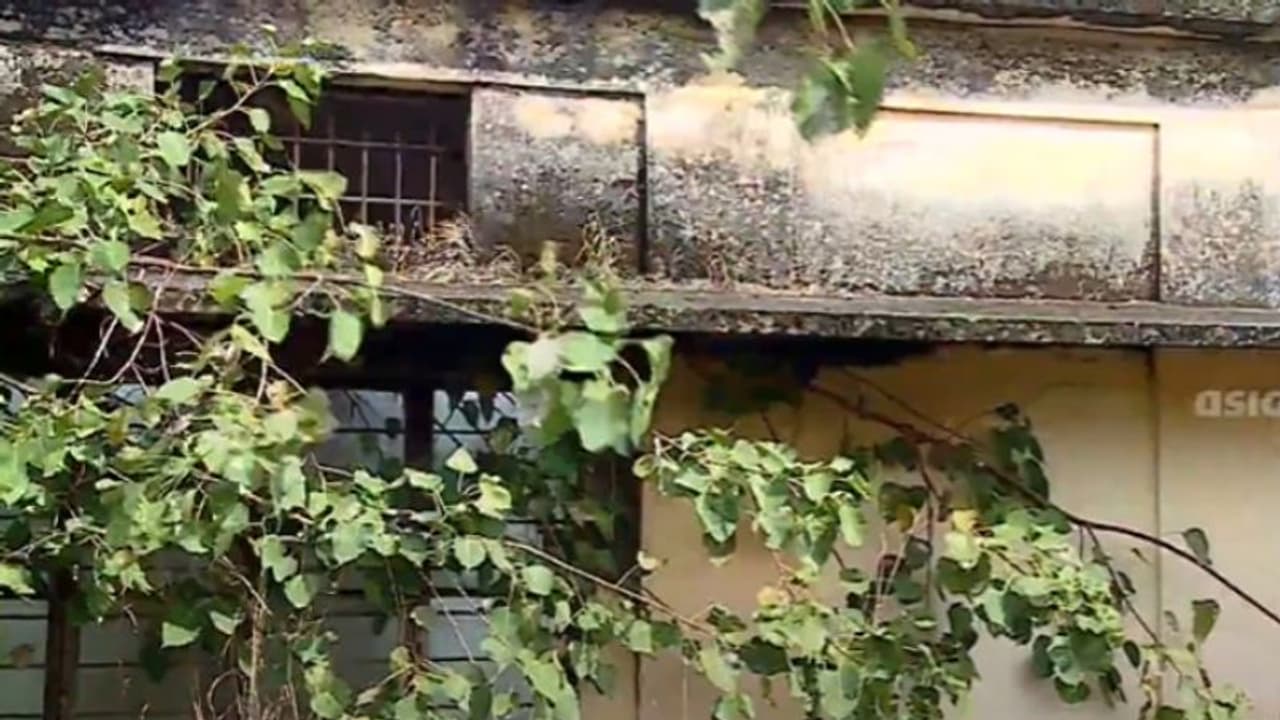 മൂന്നാംനിലയിൽ ആലുമുളച്ചു, വേരിറങ്ങി വാതിലിളകി; പണിതീർന്ന് 18 വർഷമായിട്ടും തുറക്കാതെ അഴീക്കോട്ടെ കമ്യൂണിറ്റിഹാൾ