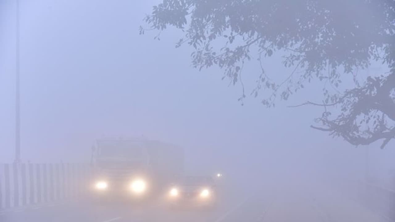 Hit and run horror: Victim crushed by 'hundreds of cars' on fog blanketed NH9; mangled beyond recognition