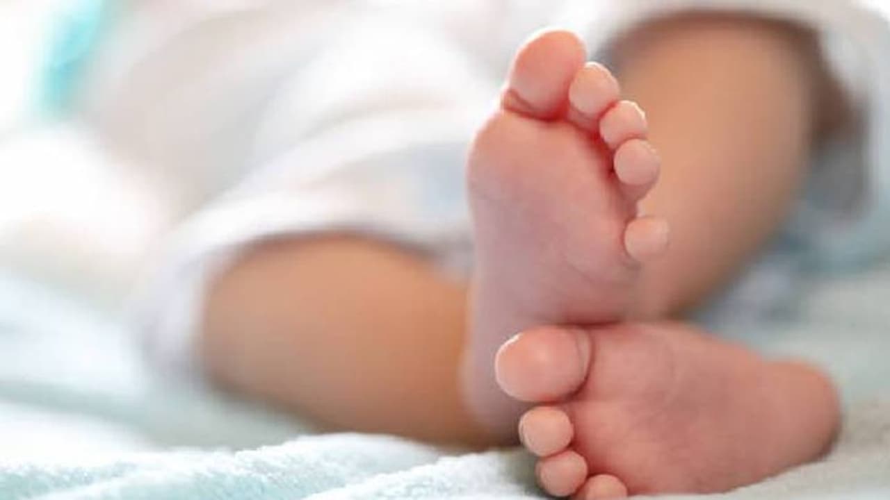 11 മാസം പ്രായമുള്ള കുട്ടിയെ കാണാതായ സംഭവം; 20 മണിക്കൂർ നീണ്ട തെരച്ചിൽ, ഒടുവിൽ ട്വിസ്റ്റ്! 11 മാസം പ്രായമുള്ള കുട്ടിയെ കാണാതായ സംഭവം; 20 മണിക്കൂർ നീണ്ട തെരച്ചിൽ, ഒടുവിൽ ട്വിസ്റ്റ്!