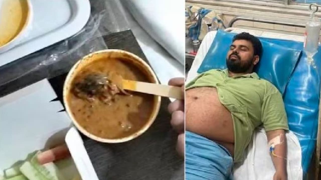 ಹೈಫೈ ರೆಸ್ಟೋರೆಂಟ್ನಿಂದ ವೆಜ್ ಊಟ ಆರ್ಡರ್ ಮಾಡಿದ ವ್ಯಕ್ತಿ, ಆಹಾರದಲ್ಲಿತ್ತು ಸತ್ತ ಇಲಿ! ಹೈಫೈ ರೆಸ್ಟೋರೆಂಟ್ನಿಂದ ವೆಜ್ ಊಟ ಆರ್ಡರ್ ಮಾಡಿದ ವ್ಯಕ್ತಿ, ಆಹಾರದಲ್ಲಿತ್ತು ಸತ್ತ ಇಲಿ!