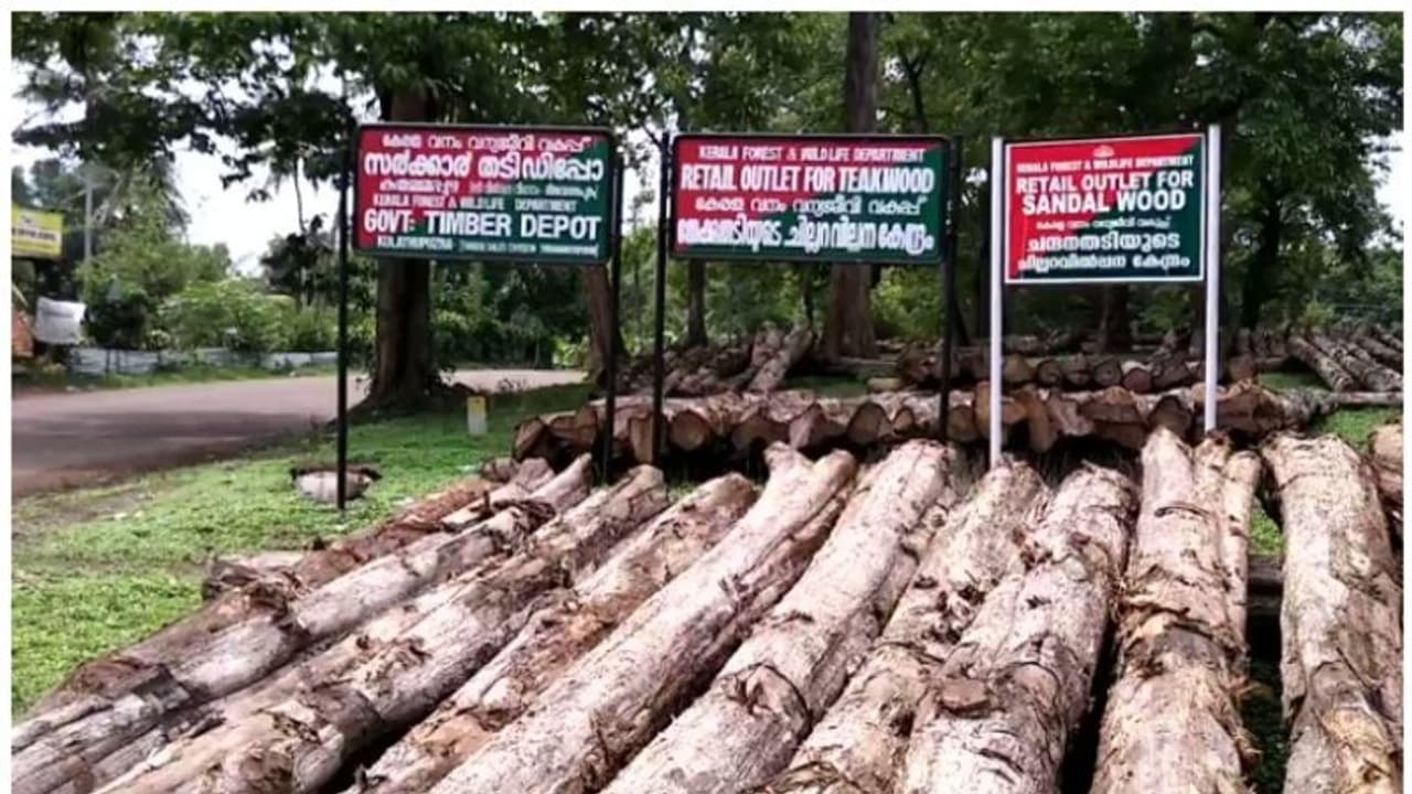 വീട് വെയ്ക്കാന്‍ വനം വകുപ്പിന്റെ തേക്ക് തടി വാങ്ങാം; വില്‍പന 25 മുതൽ