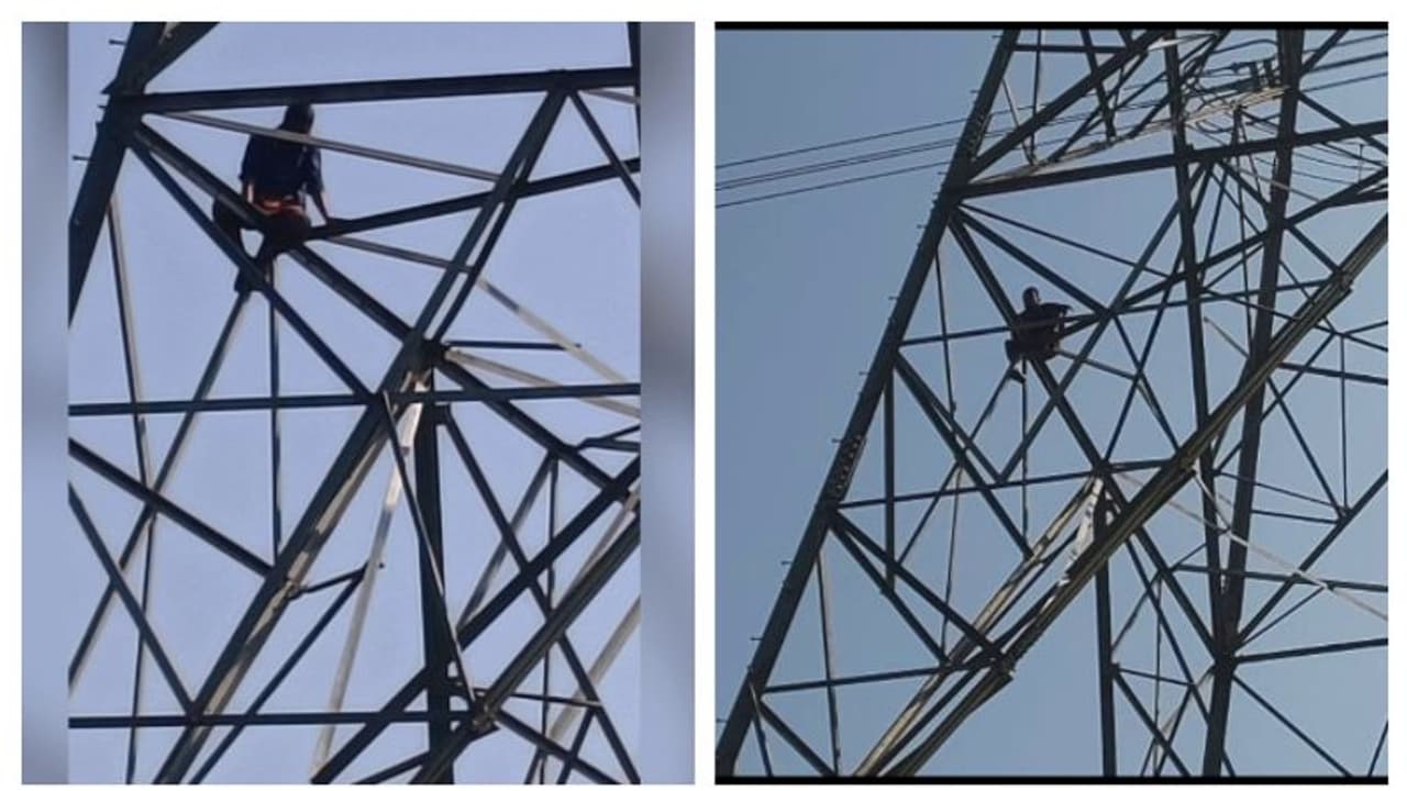 'ജീവിക്കാൻ മന്ത്രിയുടെ ഉറപ്പു വേണം'; ആത്മഹത്യാ ഭീഷണിയുമായി യുവാവ് ടവറിന് മുകളിൽ, അനുനയ ശ്രമം തുടരുന്നു 'ജീവിക്കാൻ മന്ത്രിയുടെ ഉറപ്പു വേണം'; ആത്മഹത്യാ ഭീഷണിയുമായി യുവാവ് ടവറിന് മുകളിൽ, അനുനയ ശ്രമം തുടരുന്നു