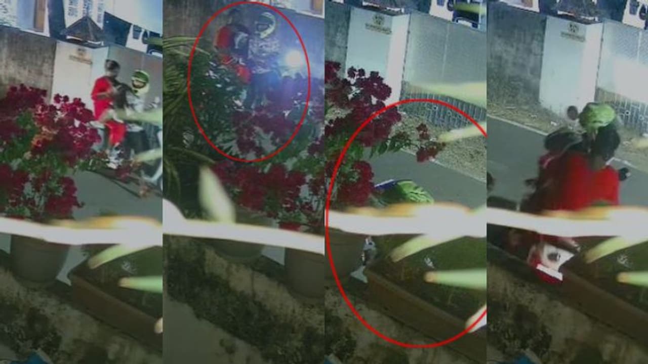 കൊല്ലത്ത് ഫുൾ ഫാമിലിയെത്തി അടിച്ച് മാറ്റിയത് കടലാസ് റോസ! 6 വർഷം ഓമനിച്ച ചെടിച്ചട്ടിയുമായി സ്കൂട്ടറിൽ പറപറന്നു കൊല്ലത്ത് ഫുൾ ഫാമിലിയെത്തി അടിച്ച് മാറ്റിയത് കടലാസ് റോസ! 6 വർഷം ഓമനിച്ച ചെടിച്ചട്ടിയുമായി സ്കൂട്ടറിൽ പറപറന്നു