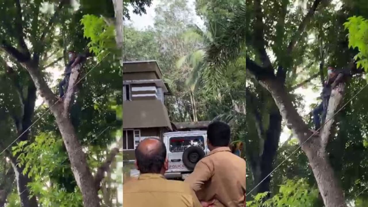 'കള്ളക്കേസില്‍ കുടുക്കിയതിന്' പ്രതികാരം; പൊലീസ് സ്റ്റേഷനിലെ മരത്തിന് മുകളില്‍ കയറി യുവാവിന്‍റെ ആത്മഹത്യാശ്രമം