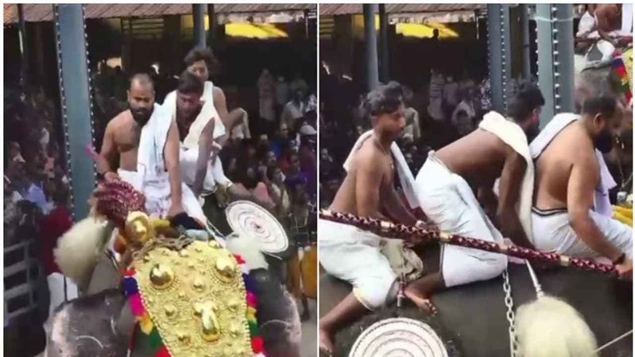 മലപ്പുറത്ത് ഉത്സവത്തിനിടെ ഇടഞ്ഞ് ആയയില്‍ ഗൗരി നന്ദന്‍; തിക്കിലും തിരക്കിലും പെട്ട് മൂന്ന് പേർക്ക് പരിക്ക്