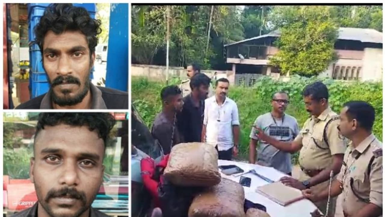 ഒഡിഷയിലെ വനത്തിൽ നിന്ന് ഏജന്റ് സാധനമെത്തിക്കും, കിലോയ്ക്ക് 12000 രൂപ ലാഭം; പൊലീസിന്റെ രഹസ്യ വിവരത്തിൽ കുടുങ്ങി