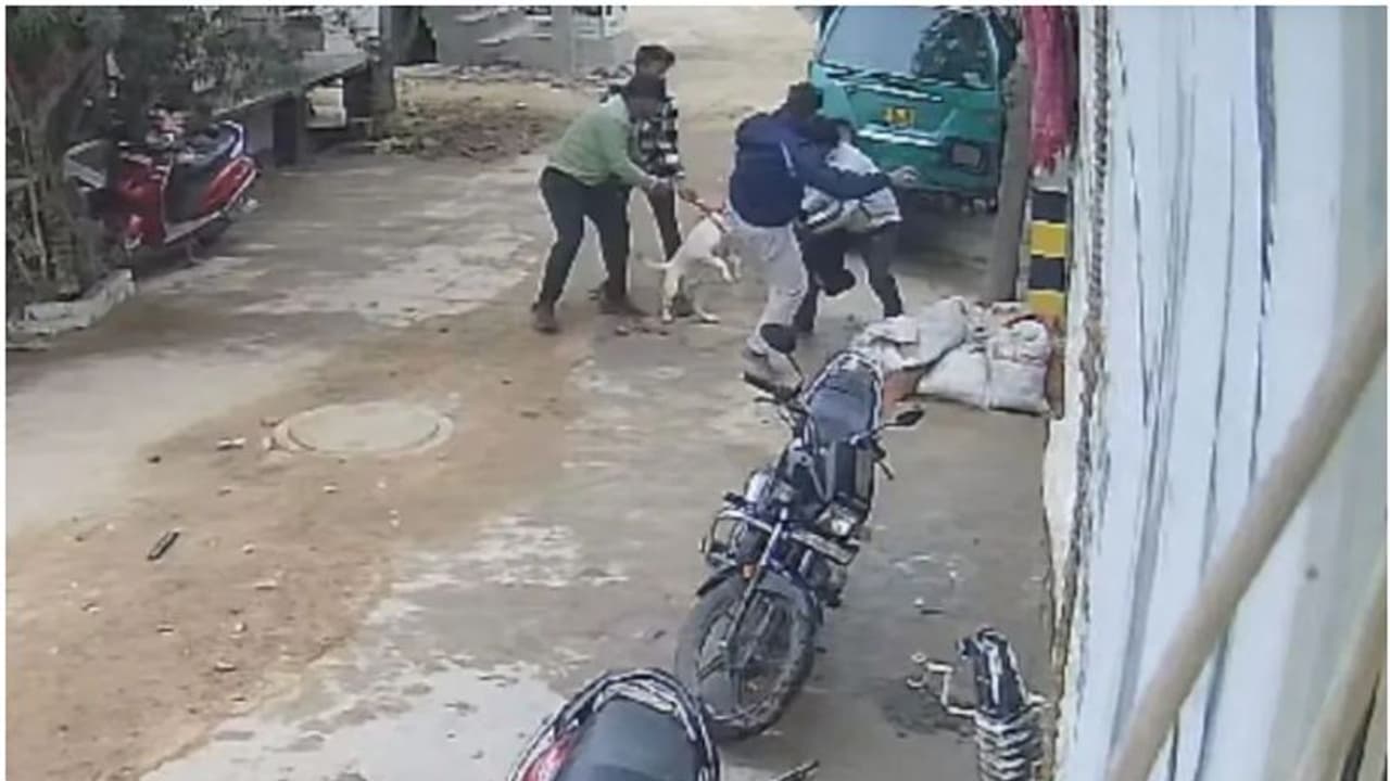 മുത്തച്ഛന്റെ മടിയിലിരുന്ന ഒന്നര വയസ്സുകാരിയെ പിറ്റ്ബുൾ കടിച്ചു; 18 സ്റ്റിച്ചുകൾ, കേസെടുത്തില്ലെന്ന് പരാതി മുത്തച്ഛന്റെ മടിയിലിരുന്ന ഒന്നര വയസ്സുകാരിയെ പിറ്റ്ബുൾ കടിച്ചു; 18 സ്റ്റിച്ചുകൾ, കേസെടുത്തില്ലെന്ന് പരാതി