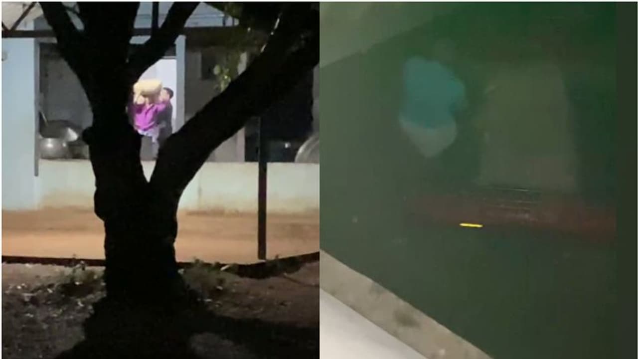 സ്കൂളിൽനിന്ന് രാത്രിയുടെ മറവിൽ ഉച്ചക്കഞ്ഞിക്കുള്ള അരിച്ചാക്കുകൾ കടത്തി; അധ്യാപകനെതിരെ പരാതി, അന്വേഷണം