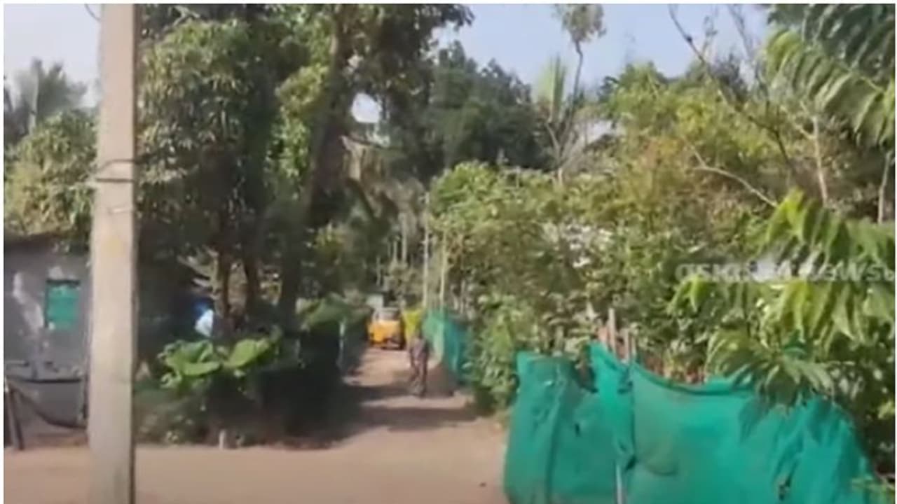 നവകേരള സദസില്‍ നല്‍കിയ പരാതിയിൽ പരിഹാരം; മറയൂരിലെ 43 കുടുംബങ്ങൾക്ക് ഉടൻ പട്ടയം ലഭിക്കും