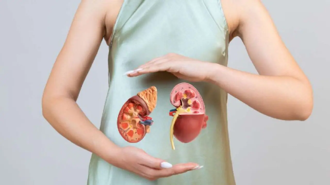 Kidney Health 101: Some hidden risks of carbonated beverages on your body