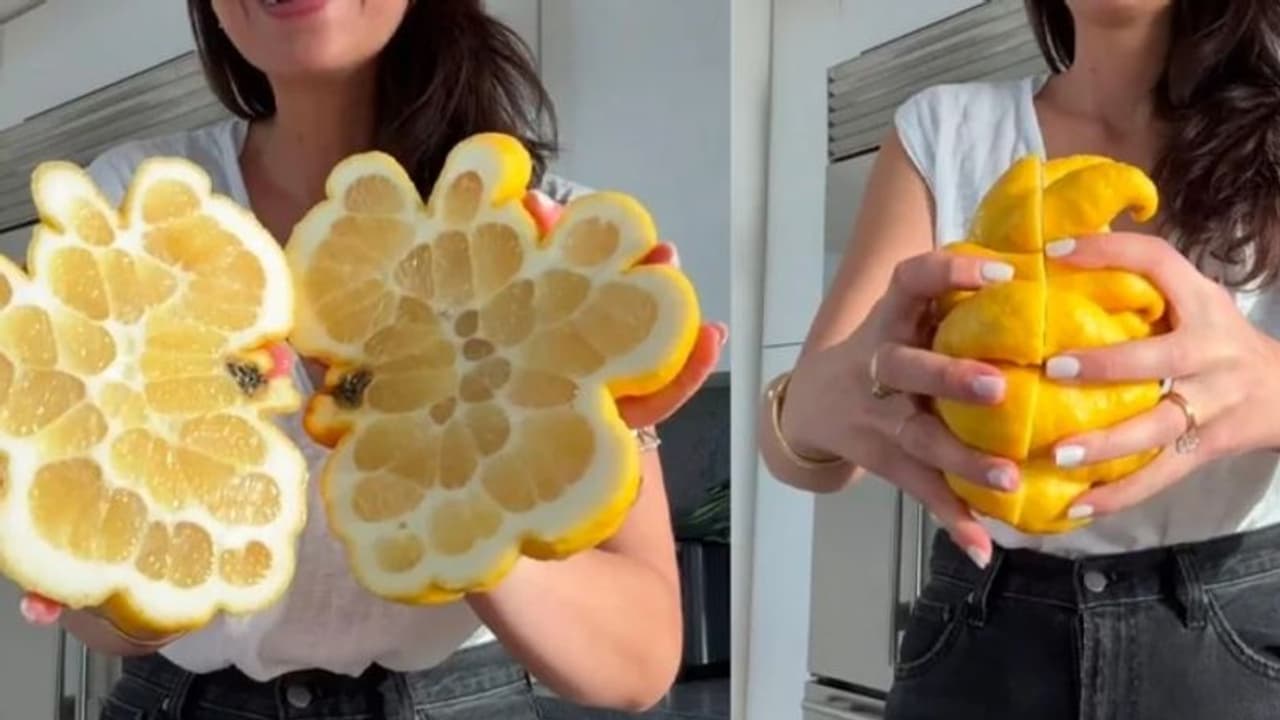 ഇത് എന്താണ് സാധനം എന്ന് മനസിലായോ? കോടിക്കണക്കിന് പേര് കണ്ട വീഡിയോ... ഇത് എന്താണ് സാധനം എന്ന് മനസിലായോ? കോടിക്കണക്കിന് പേര് കണ്ട വീഡിയോ...