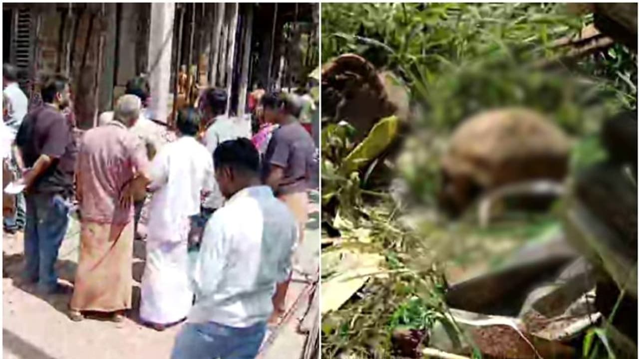 വീട് നിർമ്മാണത്തിന് മണ്ണ് നീക്കിയപ്പോൾ അസ്ഥികൂടം, പ്ലാസ്റ്റിക് കവറിൽ തലയോട്ടി, ദുരൂഹത 