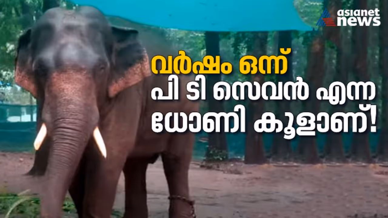 വര്‍ഷം ഒന്ന്; കാഴ്ച മങ്ങലിന് വിദേശത്ത് നിന്നും തുള്ളിമരുന്ന്, 'ധോണി' ഇന്ന് കൂളാണ് !