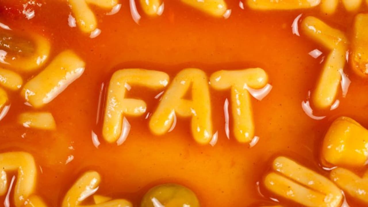 കൊഴുപ്പ് അപകടകാരിയോ? കൊഴുപ്പടങ്ങിയ ഭക്ഷണങ്ങൾ ഒഴിവാക്കേണ്ടതുണ്ടോ? 