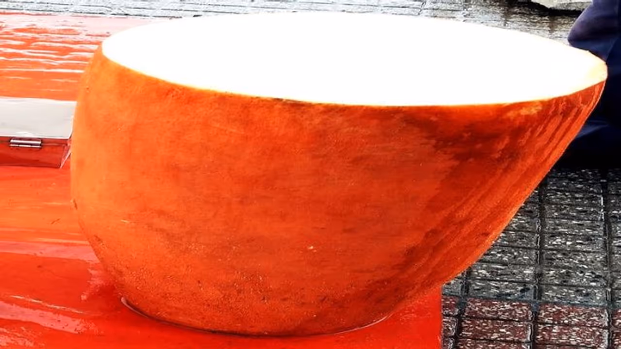 ராமர் 14 வருட வனவாசத்தில் இந்த பழத்தை தான் சாப்பிட்டாராம்... அதன் நன்மைகள் என்ன தெரியுமா..? ராமர் 14 வருட வனவாசத்தில் இந்த பழத்தை தான் சாப்பிட்டாராம்... அதன் நன்மைகள் என்ன தெரியுமா..?