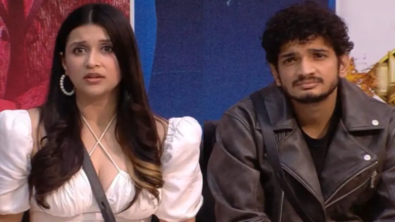 Bigg Boss 17 controversy: Mannara Chopra wants public apology from Munawar Faruqui Bigg Boss 17 controversy: Mannara Chopra wants public apology from Munawar Faruqui