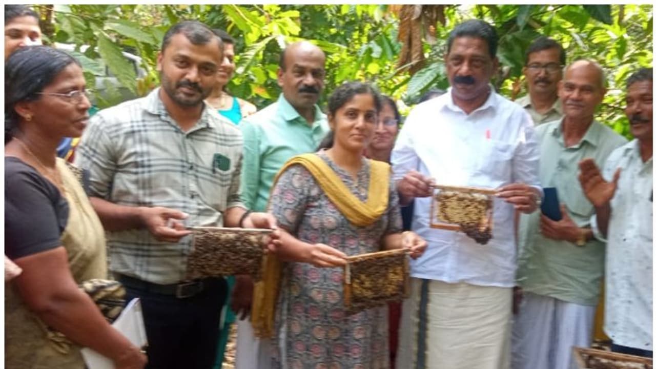 മധുരമൂറും ഗ്രാമമായി ചക്കിട്ടപ്പാറ, കഴിഞ്ഞ വർഷം വിറ്റത് 16 ടണ്‍ തേൻ, ഇനി തേൻ മ്യൂസിയം