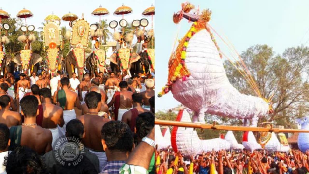 ചിനക്കത്തൂര് പൂരം എഴുന്നള്ളിപ്പിന് ഡിജെയും നാസിക് ഡോളും വേണ്ട,നിരോധനം ഏര്പ്പെടുത്തി പൊലീസ് ചിനക്കത്തൂര് പൂരം എഴുന്നള്ളിപ്പിന് ഡിജെയും നാസിക് ഡോളും വേണ്ട,നിരോധനം ഏര്പ്പെടുത്തി പൊലീസ്