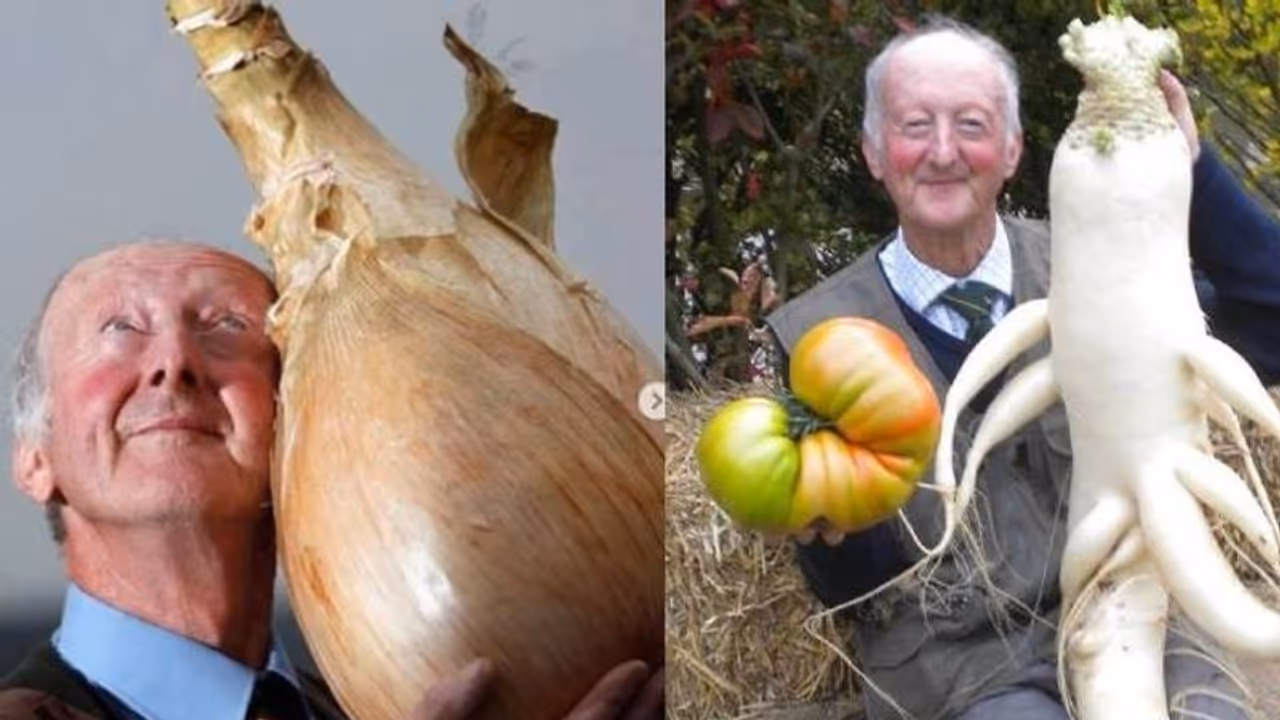 4 കിലോ ഭാരമുള്ള ഉരുളക്കിഴങ്ങ്, 27 കിലോയുടെ കോളിഫ്ലവർ; ലോകത്തിലെ ഏറ്റവും വലിയ പച്ചക്കറികളുമായി 79 കാരൻ