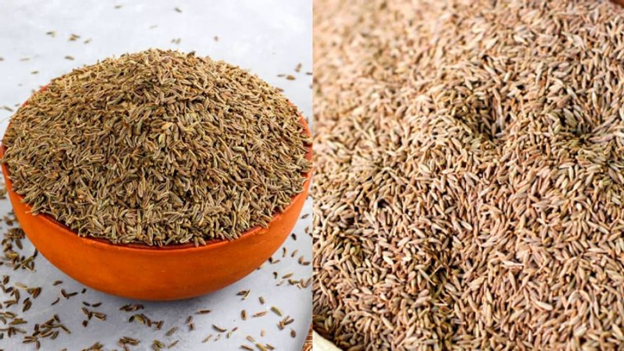 കുത്തനെ കുറഞ്ഞ് ജീരകത്തിന്റെ വില; പകുതി വിലയ്ക്ക് വിറ്റ് വ്യാപാരികൾ 