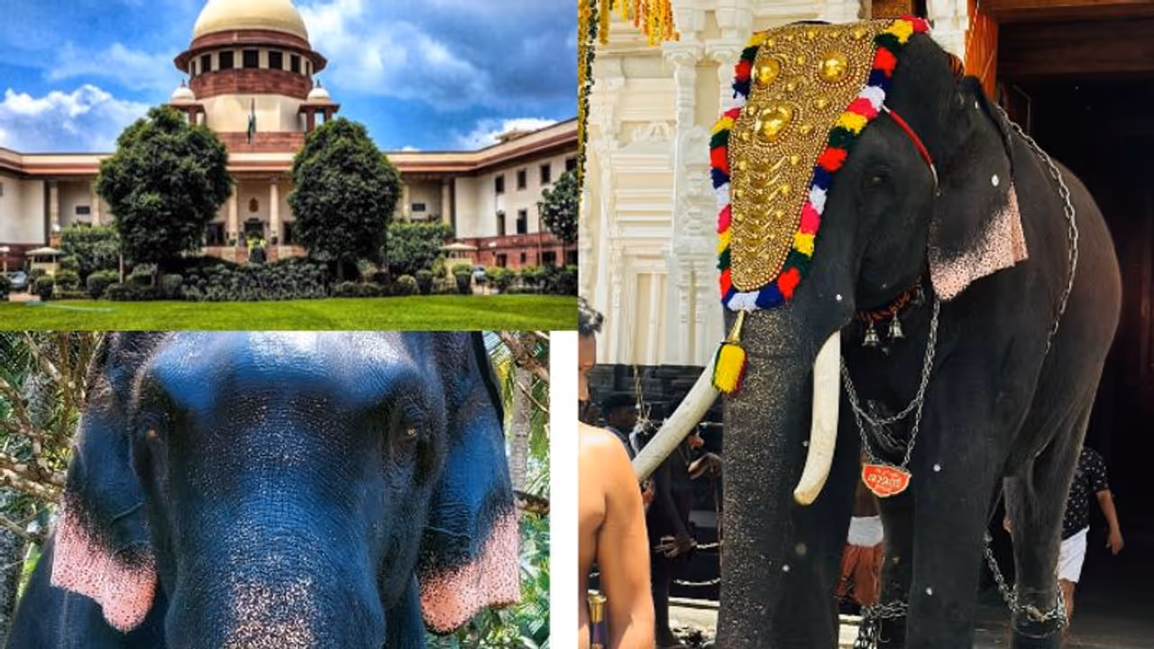 ഊട്ടോളി രാമൻ ഉടന്‍ അമൃതാനന്ദമയി മഠത്തിലേക്കില്ല, തത്കാലം നിലവിലെ ഉടമക്കൊപ്പം തുടരട്ടെയെന്ന് സുപ്രീംകോടതി