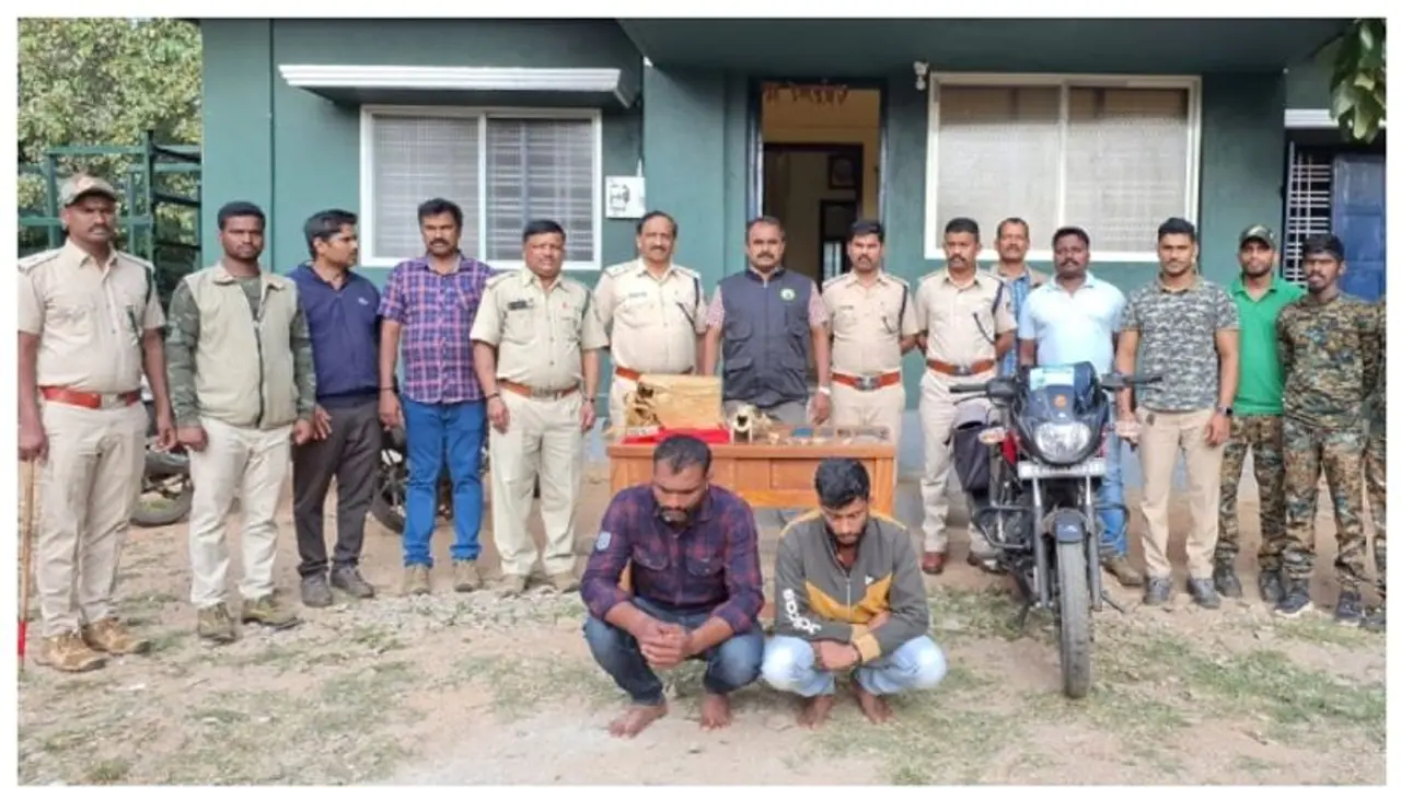 ಬ್ಯಾಗಿನಲ್ಲಿ ಹುಲಿ ತಲೆಬರುಡೆ, ಉಗುರು, ಹಲ್ಲು ಪತ್ತೆ, ಚಿಕ್ಕಮಗಳೂರಿನಲ್ಲಿ ಇಬ್ಬರು ಅರೆಸ್ಟ್ ಬ್ಯಾಗಿನಲ್ಲಿ ಹುಲಿ ತಲೆಬರುಡೆ, ಉಗುರು, ಹಲ್ಲು ಪತ್ತೆ, ಚಿಕ್ಕಮಗಳೂರಿನಲ್ಲಿ ಇಬ್ಬರು ಅರೆಸ್ಟ್