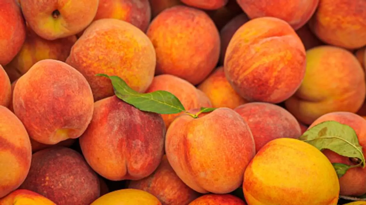 പതിവായി പീച്ച് ഡയറ്റില് ഉള്പ്പെടുത്തൂ; അറിയാം ഈ ഏഴ് ഗുണങ്ങള്... പതിവായി പീച്ച് ഡയറ്റില് ഉള്പ്പെടുത്തൂ; അറിയാം ഈ ഏഴ് ഗുണങ്ങള്...