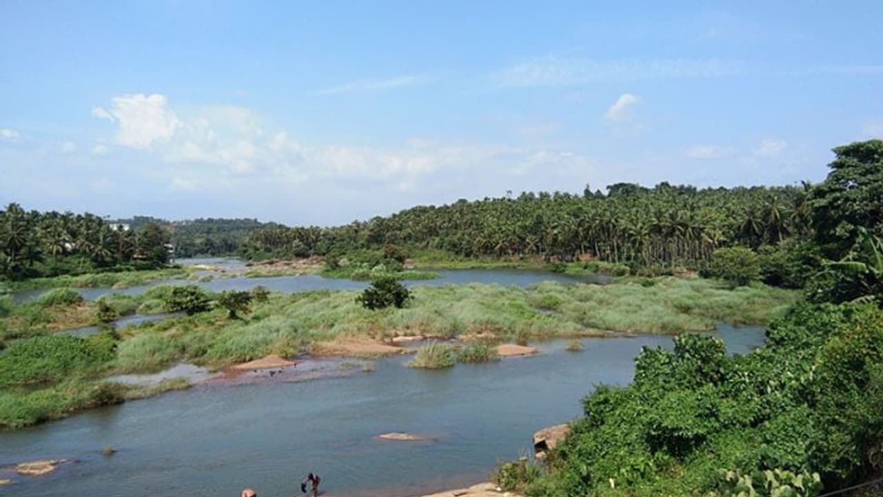 കുളിക്കാൻ പോയ 15കാരിയെ പുഴയിൽ കാണാതായെന്ന് കരുതി വ്യാപക തിരച്ചിൽ; ഒടുവിൽ കണ്ടെത്തിയത് ബസ് സ്റ്റാന്ഡിൽ നിന്ന് കുളിക്കാൻ പോയ 15കാരിയെ പുഴയിൽ കാണാതായെന്ന് കരുതി വ്യാപക തിരച്ചിൽ; ഒടുവിൽ കണ്ടെത്തിയത് ബസ് സ്റ്റാന്ഡിൽ നിന്ന്