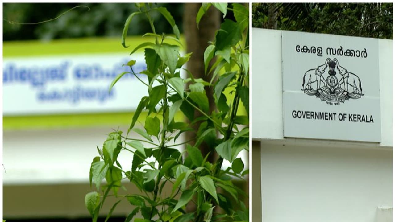 നല്ല പച്ചപ്പും ഹരിതാഭയും ഊഷ്മളതയും! കാടുപിടിച്ചൊരു സ്മാർട്ട് വില്ലേജ് ഓഫീസ്, വൈദ്യുതി വന്നു, ഇനി വെള്ളമെപ്പോൾ നല്ല പച്ചപ്പും ഹരിതാഭയും ഊഷ്മളതയും! കാടുപിടിച്ചൊരു സ്മാർട്ട് വില്ലേജ് ഓഫീസ്, വൈദ്യുതി വന്നു, ഇനി വെള്ളമെപ്പോൾ