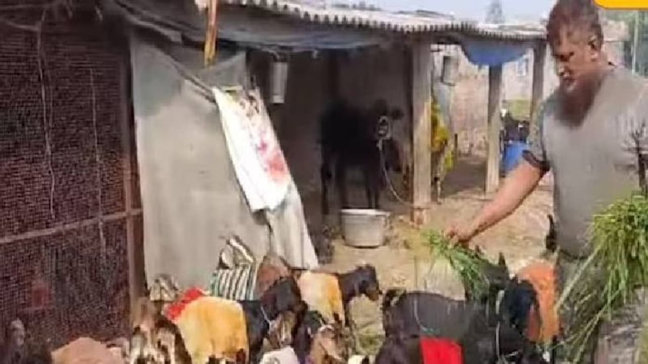 15000 ത്തിൽ തുടങ്ങി, സമ്പാദിക്കുന്നത് അരലക്ഷം രൂപ, പാർട്ട് ടൈമായി പൗൾട്രി ഫാം