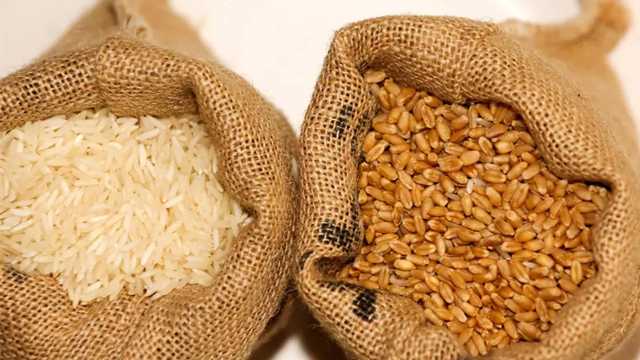 Worrying dip in nutritional quality of Indian rice and wheat: ICAR study Worrying dip in nutritional quality of Indian rice and wheat: ICAR study