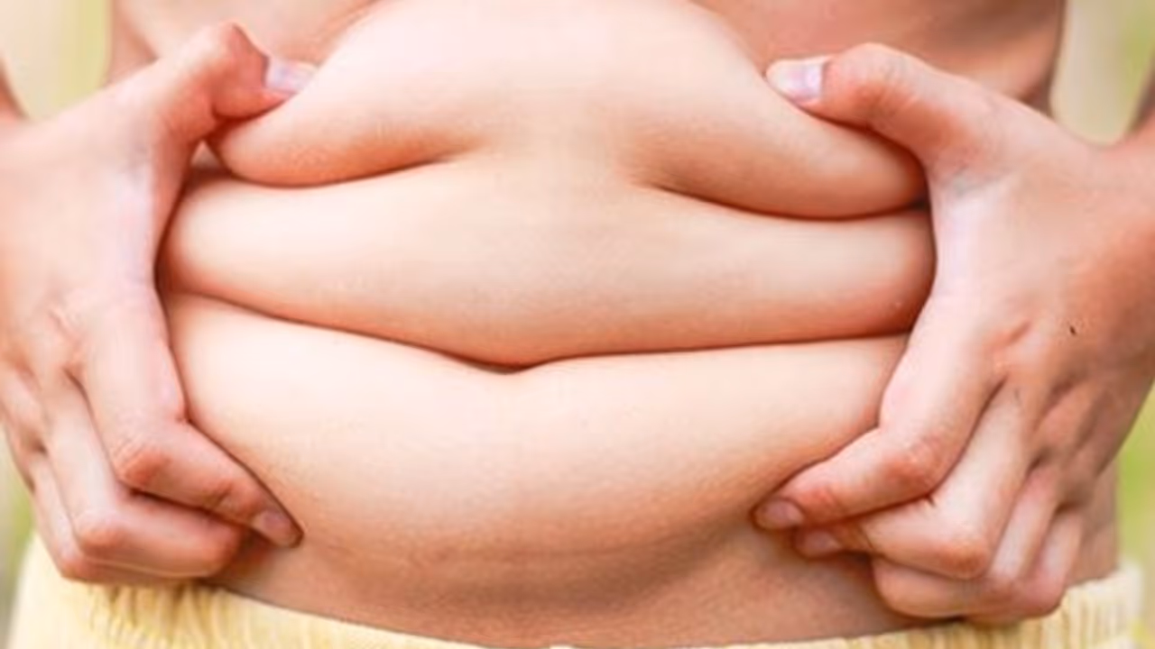 അടിവയറ്റിലെ കൊഴുപ്പ് എളുപ്പം കുറയ്ക്കാം; ചെയ്യേണ്ട കാര്യങ്ങള്... അടിവയറ്റിലെ കൊഴുപ്പ് എളുപ്പം കുറയ്ക്കാം; ചെയ്യേണ്ട കാര്യങ്ങള്...