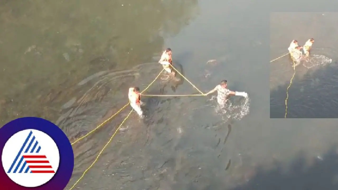 ಸತ್ತಿದೆ ಎಂದು ಭಾವಿಸಿ ಜೀವಂತ ಮೊಸಳೆ ಹಿಡಿಯಲು ಹೋದ ಅರಣ್ಯ ಸಿಬ್ಬಂದಿ! ಮುಂದೇನಾಯ್ತು ನೋಡಿ! 