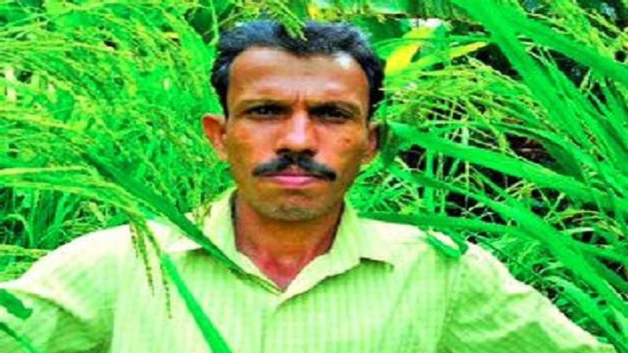 ಮಂಗಳೂರು: ಗಡಿನಾಡಿನ ಭತ್ತ ತಳಿ ಸಂರಕ್ಷಕ ಸತ್ಯನಾರಾಯಣ ಬೆಳೇರಿ ಅರಸಿ ಬಂದ ಪದ್ಮಶ್ರೀ ಪ್ರಶಸ್ತಿ ಮಂಗಳೂರು: ಗಡಿನಾಡಿನ ಭತ್ತ ತಳಿ ಸಂರಕ್ಷಕ ಸತ್ಯನಾರಾಯಣ ಬೆಳೇರಿ ಅರಸಿ ಬಂದ ಪದ್ಮಶ್ರೀ ಪ್ರಶಸ್ತಿ