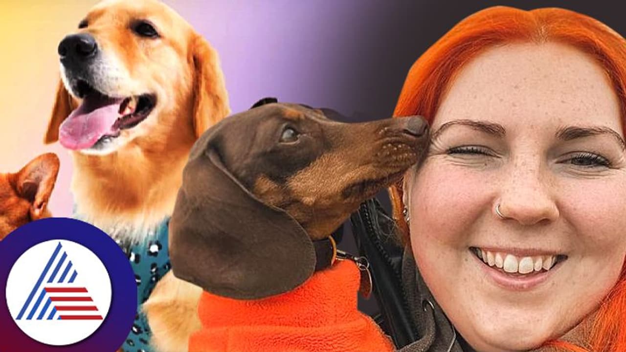 ನಾಯಿ ವಾಕಿಂಗ್ ಮಾಡಿಸೋ ಅಭ್ಯಾಸ ಇದ್ಯಾ? ಇದನ್ನೇ ಬ್ಯುಸಿನೆಸ್ ಯಾಕೆ ಮಾಡ್ಬಾರದು? ನಾಯಿ ವಾಕಿಂಗ್ ಮಾಡಿಸೋ ಅಭ್ಯಾಸ ಇದ್ಯಾ? ಇದನ್ನೇ ಬ್ಯುಸಿನೆಸ್ ಯಾಕೆ ಮಾಡ್ಬಾರದು?