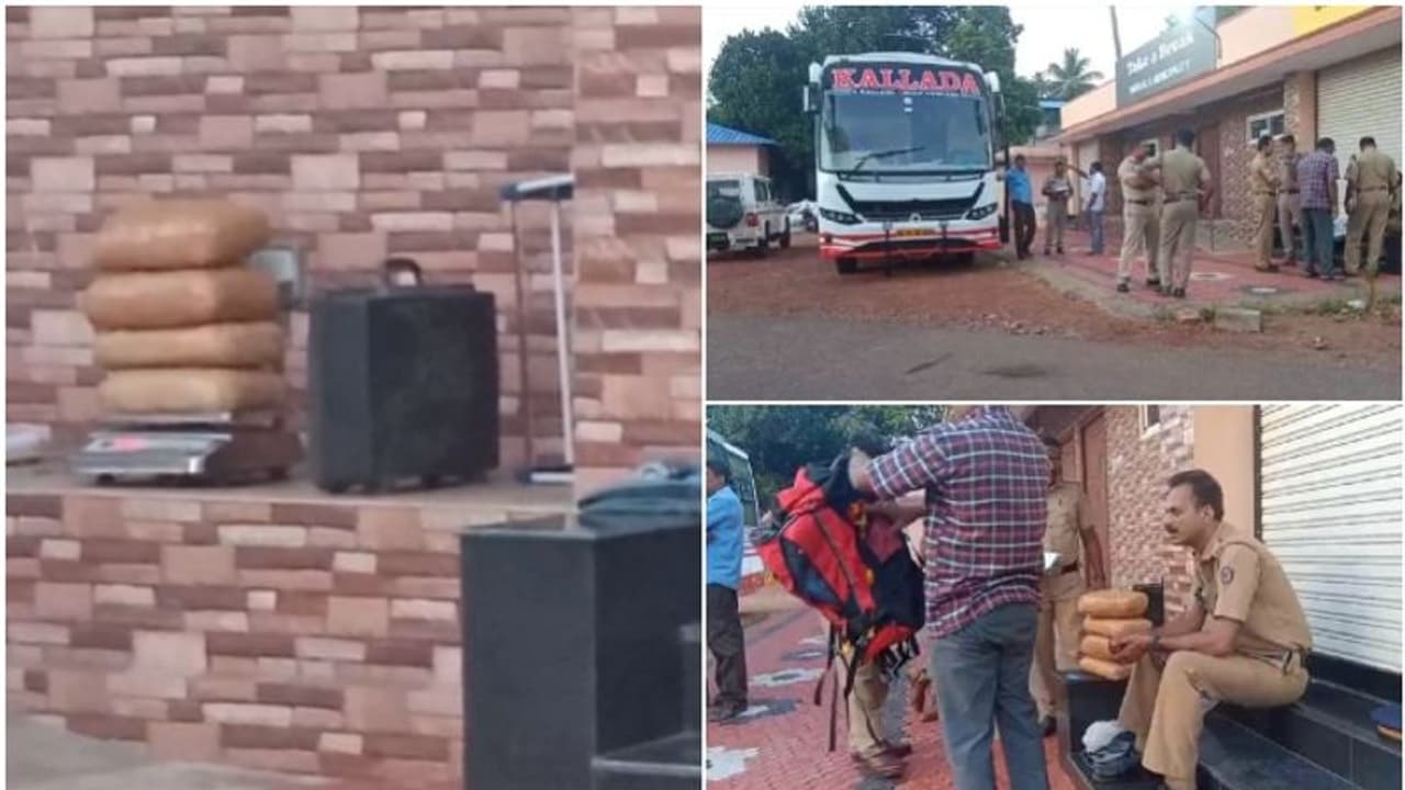 തലസ്ഥാനത്ത് ടൂറിസ്റ്റ് ബസ്സിൽ നിന്നും 8 കിലോ കഞ്ചാവ് പിടികൂടി, കോഴിക്കോട്ട് രണ്ട് പേരും അറസ്റ്റിൽ തലസ്ഥാനത്ത് ടൂറിസ്റ്റ് ബസ്സിൽ നിന്നും 8 കിലോ കഞ്ചാവ് പിടികൂടി, കോഴിക്കോട്ട് രണ്ട് പേരും അറസ്റ്റിൽ