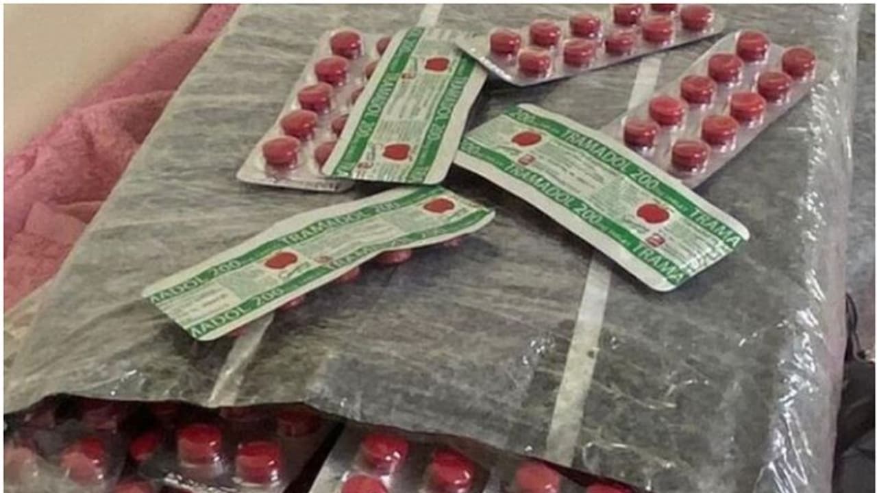 ടവലില്‍ ഒളിപ്പിച്ച് കടത്താന്‍ ശ്രമം; കസ്റ്റംസ് ഉദ്യോഗസ്ഥര്‍ പിടിച്ചെടുത്തത് 234,000 ട്രമഡോള്‍ ഗുളികകള്‍ 