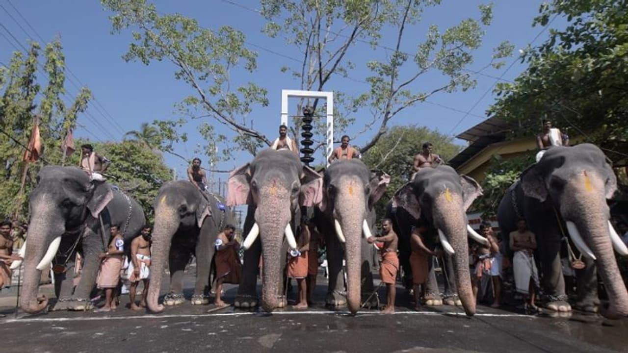 ഗുരുവായൂർ ആനയോട്ടം മാർച്ച് 10ന്