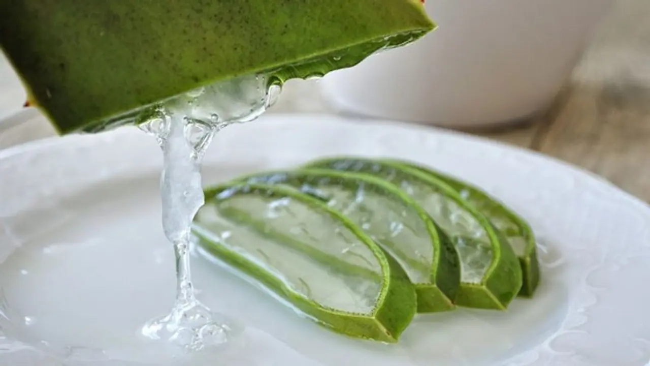 മുഖം സുന്ദരമാക്കാൻ കറ്റാർവാഴ ; ഈ രീതിയിൽ ഉപയോഗിച്ചോളൂ മുഖം സുന്ദരമാക്കാൻ കറ്റാർവാഴ ; ഈ രീതിയിൽ ഉപയോഗിച്ചോളൂ