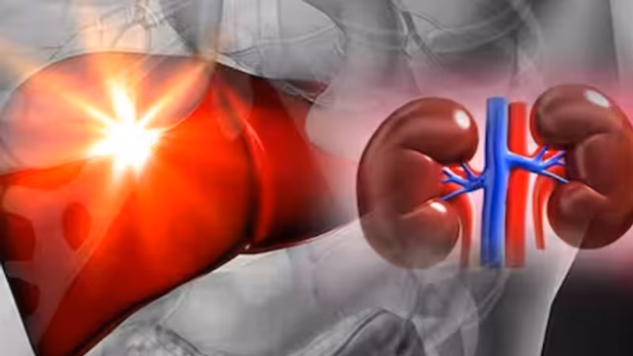 വൃക്കയുടെയും കരളിന്റെയും ആരോഗ്യം ഒരുപോലെ സംരക്ഷിക്കാന് സഹായിക്കും ഈ ഭക്ഷണങ്ങള്... വൃക്കയുടെയും കരളിന്റെയും ആരോഗ്യം ഒരുപോലെ സംരക്ഷിക്കാന് സഹായിക്കും ഈ ഭക്ഷണങ്ങള്...