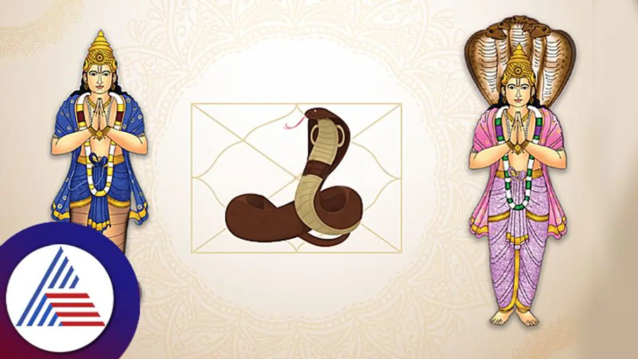 ಈ ಸರ್ಪದೋಷಕ್ಕೂ ನಾಗರಹಾವಿಗೂ ಸಂಬಂಧವಿಲ್ಲ! ಇದ್ಯಾಕೆ ಬರುತ್ತೆ? ಈ ಸರ್ಪದೋಷಕ್ಕೂ ನಾಗರಹಾವಿಗೂ ಸಂಬಂಧವಿಲ್ಲ! ಇದ್ಯಾಕೆ ಬರುತ್ತೆ?