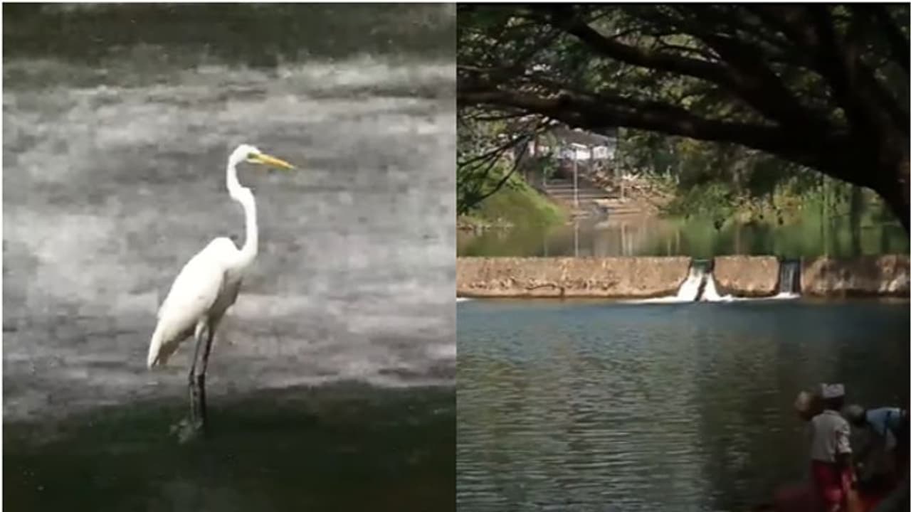  സ്വപ്നതീരമാകാൻ കരമനയാർ തീരം, നഗര ഹൃദയത്തില്‍ ഒരു ടൂറിസ്റ്റ് സ്പോട്ട്; ഒരുങ്ങുന്നത് 15 കോടിയുടെ പദ്ധതി 