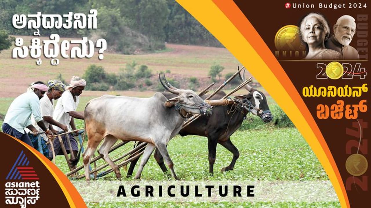 Union Budget 2024: ಬಜೆಟ್ ನಲ್ಲಿ ಕೃಷಿಗೆ ಧಕ್ಕಿದ್ದು ಅತ್ಯಲ್ಪ;ಆದ್ರೂ ರೈತರ ಆದಾಯ ಹೆಚ್ಚಳಕ್ಕೆ ಸಂಕಲ್ಪ!