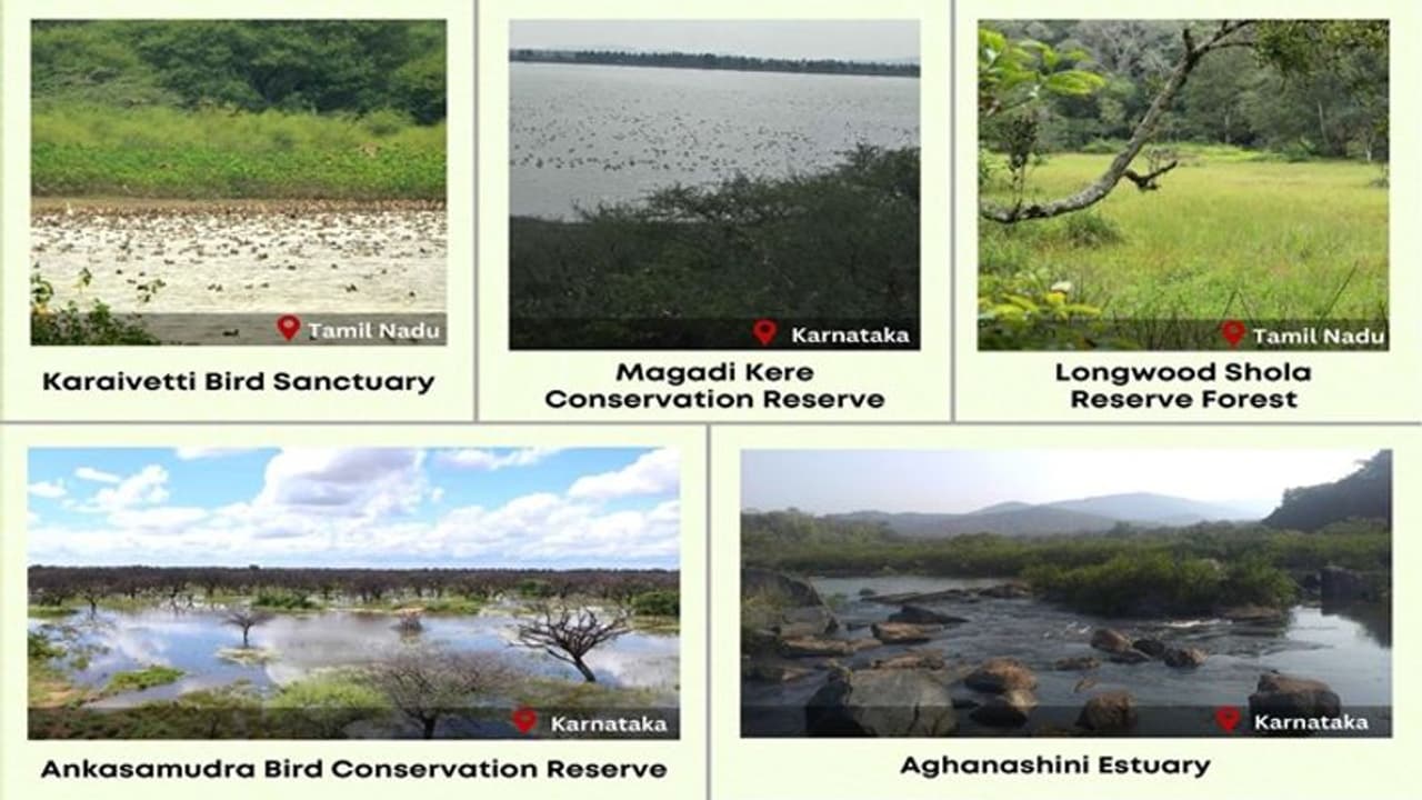 இந்தியாவில் ராம்சார் தளங்களின் எண்ணிக்கை உயர்வு! இந்தியாவில் ராம்சார் தளங்களின் எண்ணிக்கை உயர்வு!