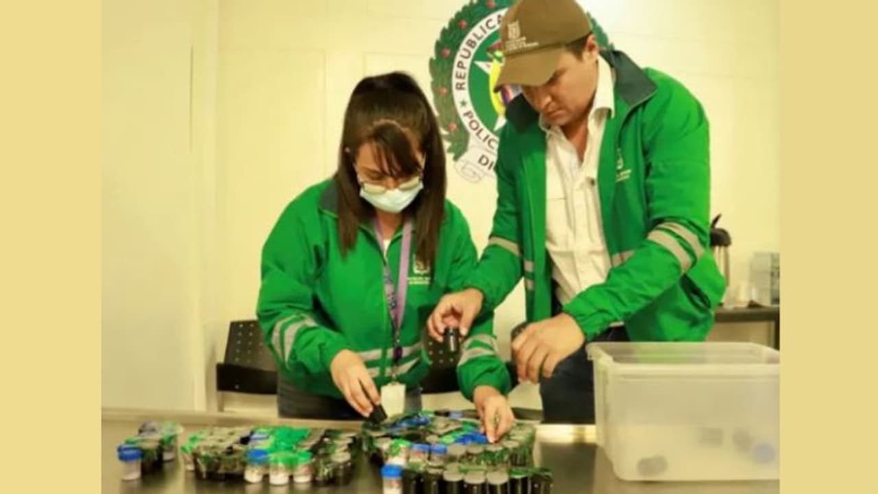 ഭാഗ്യം തുണച്ചു, തൊട്ടെങ്കിൽ തീര്ന്നേനെ! എയര്പോര്ട്ടിൽ യുവതിയും 'വിഷപ്പെട്ടി'യും, പൂട്ടിക്കെട്ടി അധികൃതര് ഭാഗ്യം തുണച്ചു, തൊട്ടെങ്കിൽ തീര്ന്നേനെ! എയര്പോര്ട്ടിൽ യുവതിയും 'വിഷപ്പെട്ടി'യും, പൂട്ടിക്കെട്ടി അധികൃതര്