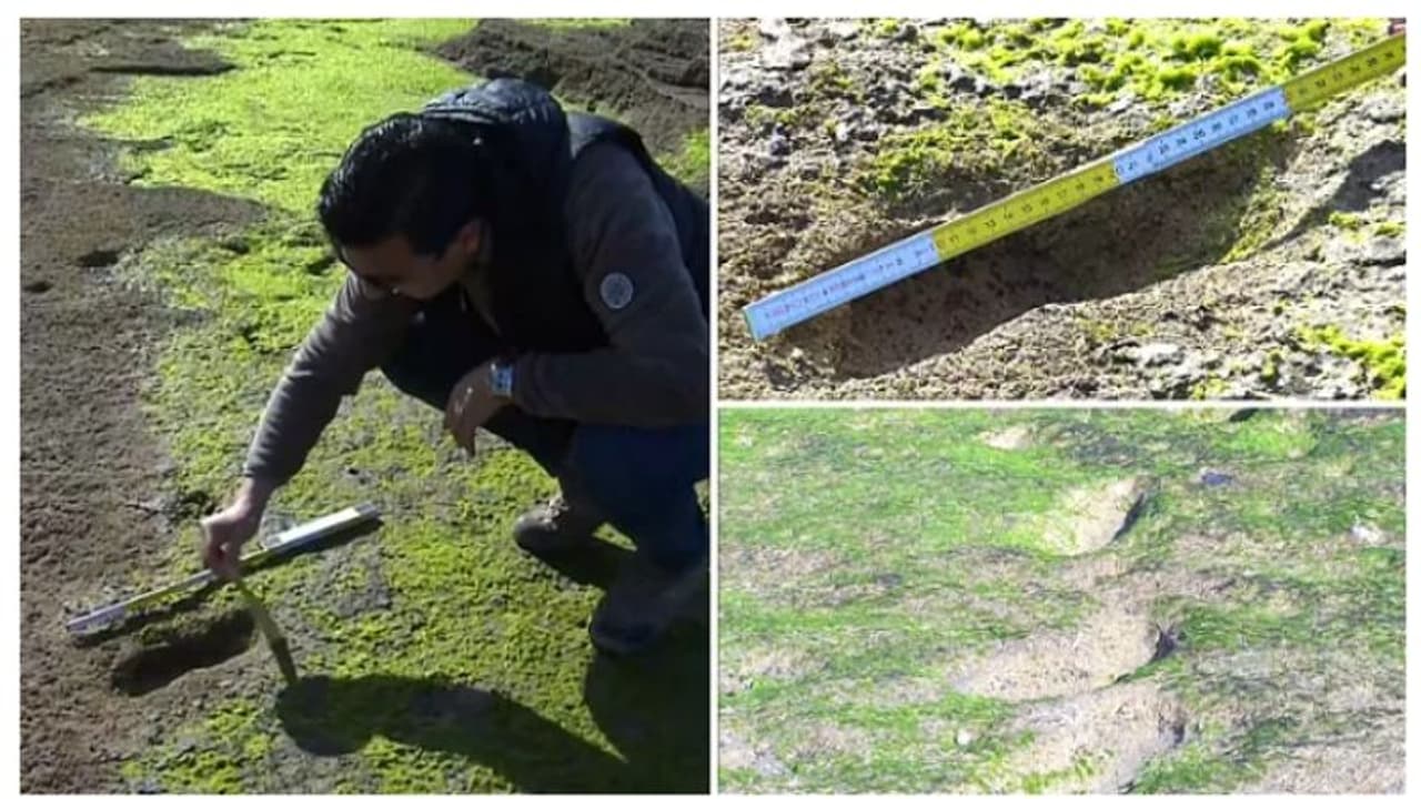 കുട്ടികൾ മുതൽ മുതിർന്നവർ വരെ; 90,000 വർഷം പഴക്കമുള്ള അഞ്ച് ഹിമയുഗ മനുഷ്യരുടെ കാൽപ്പാടുകള്‍ കണ്ടെത്തി !