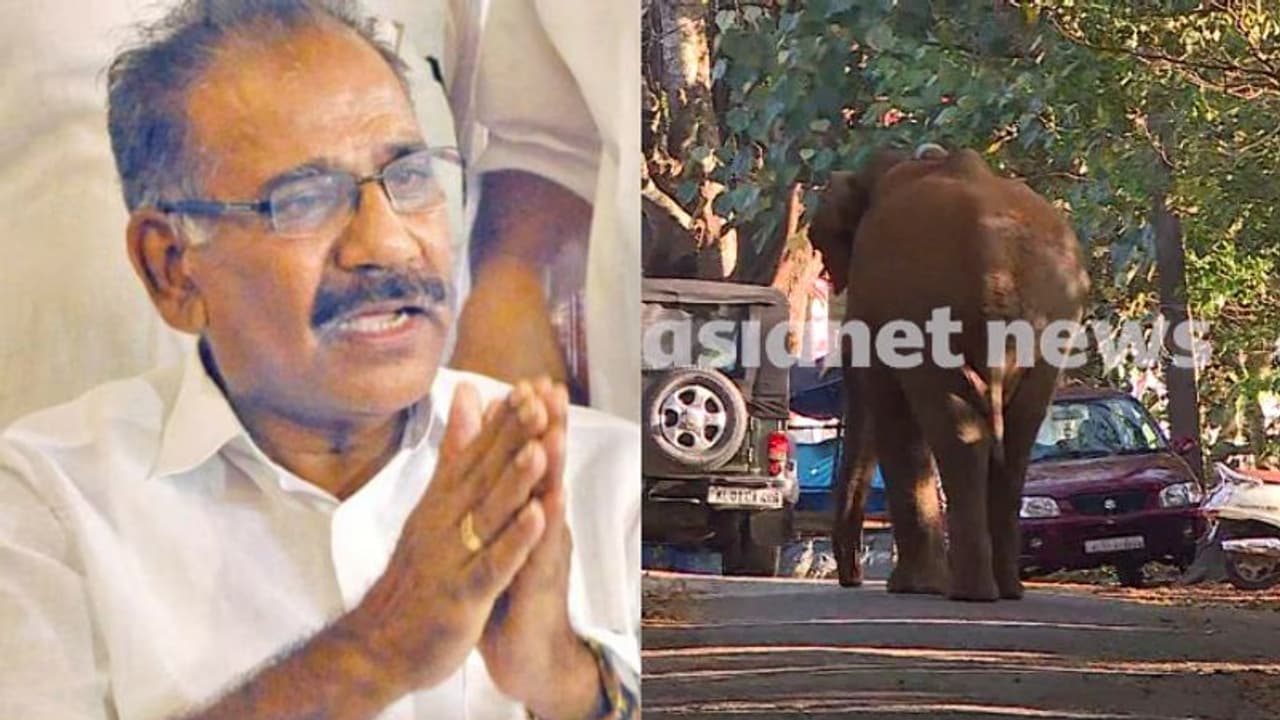 'ആവശ്യമെങ്കിൽ മയക്കുവെടി, കർണാടകയുടെ സഹായം തേടും'; മന്ത്രി എകെ ശശീന്ദ്രൻ 'ആവശ്യമെങ്കിൽ മയക്കുവെടി, കർണാടകയുടെ സഹായം തേടും'; മന്ത്രി എകെ ശശീന്ദ്രൻ